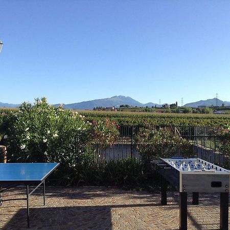 Agriturismo Anna Caterina Hotel Castelnuovo del Garda Eksteriør billede