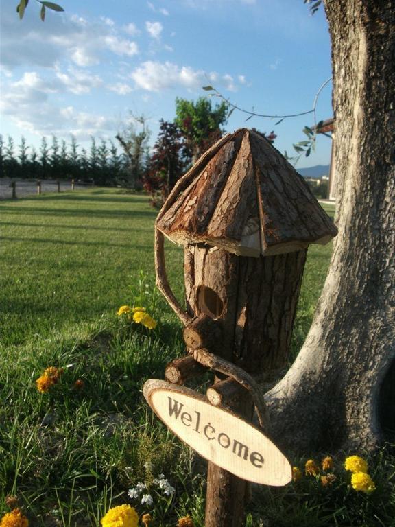 Agriturismo Anna Caterina Hotel Castelnuovo del Garda Eksteriør billede