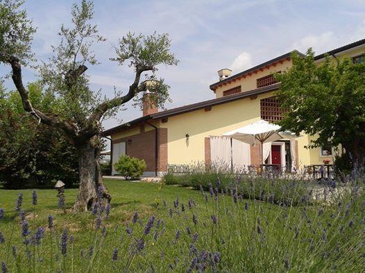 Agriturismo Anna Caterina Hotel Castelnuovo del Garda Eksteriør billede